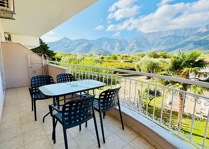 Aneton כריסי אמודיה