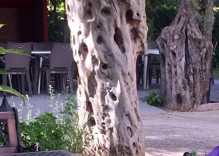 Aneton מלון דירות 2*