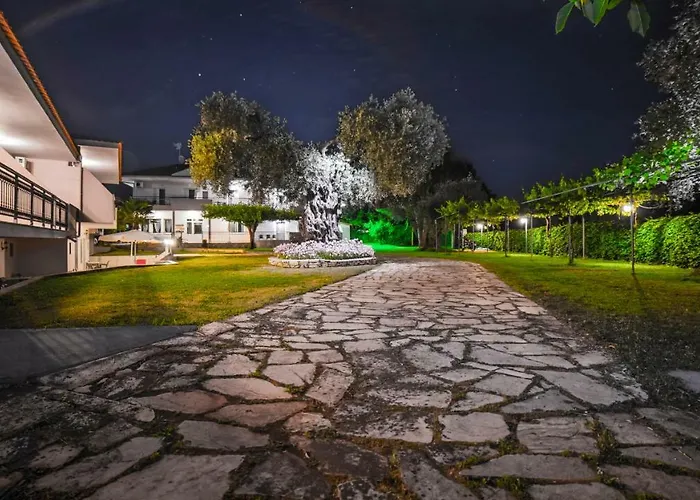 Aneton 2* כריסי אמודיה