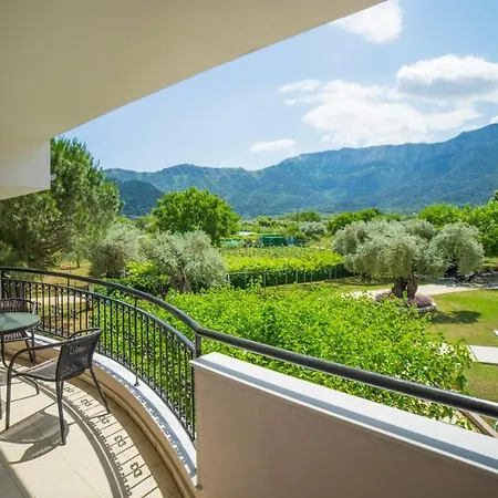 Aneton כריסי אמודיה