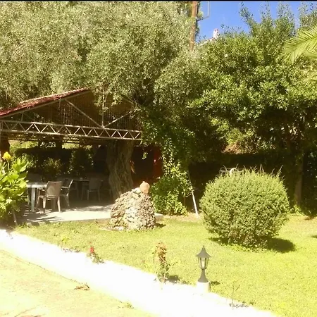 Aneton 2* כריסי אמודיה