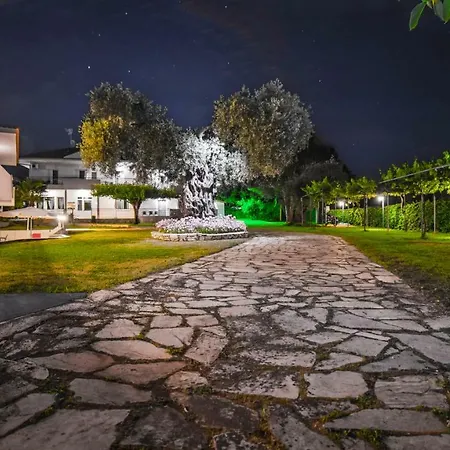 Aneton 2* כריסי אמודיה