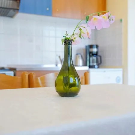 מלון דירות Aneton