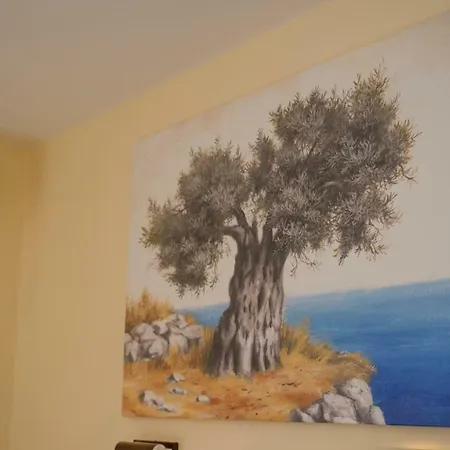 Aneton כריסי אמודיה